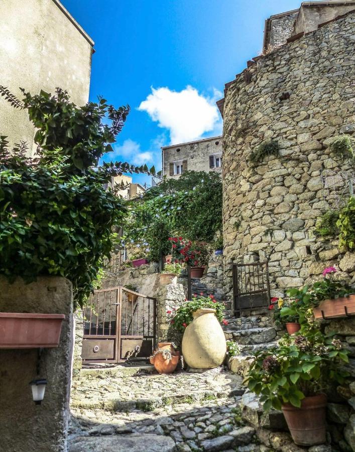 Campu Latinu Apartamento Lama Exterior foto