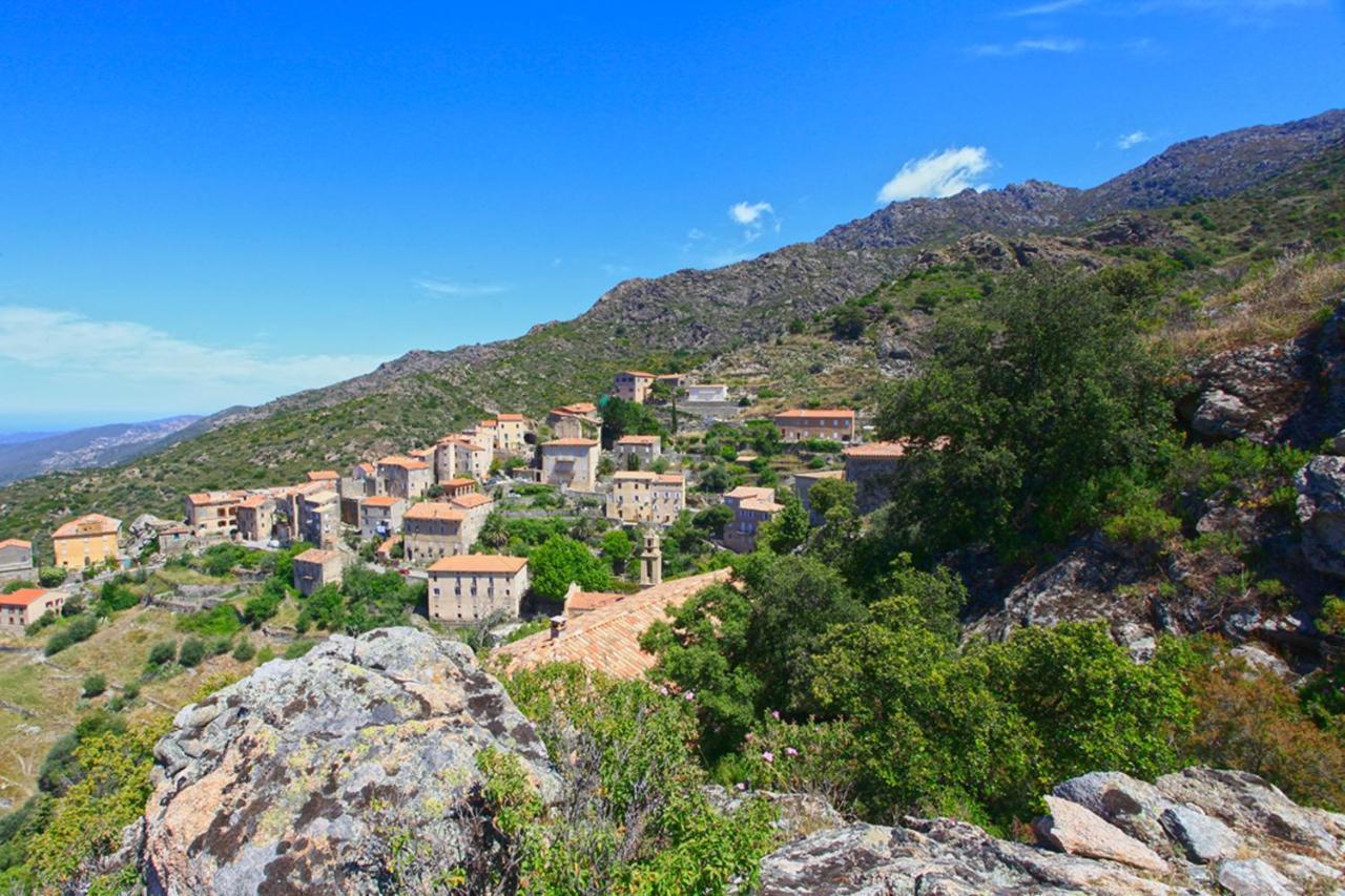 Campu Latinu Apartamento Lama Exterior foto